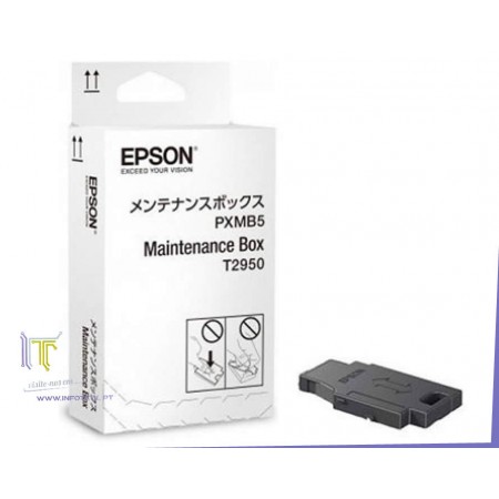 Epson Maintenance Box WF-100W - C13T295000